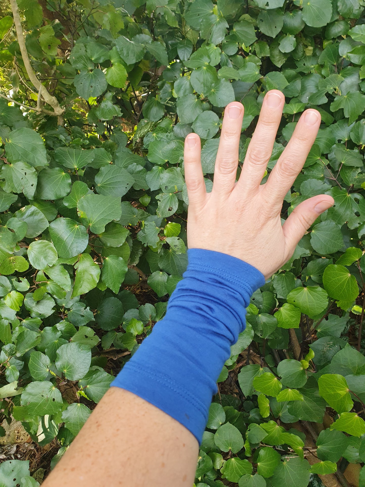 100% Merino